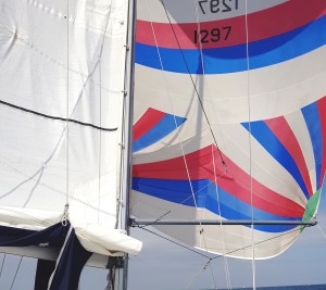 Yachtforce Spinnaker