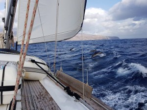 Canary Island Yacht Charter